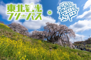 ドラ割「しあわせの風ふくしまセットプラン」利用期間を12月まで延長