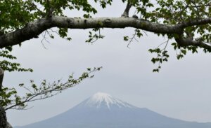 静岡県の絶景を車窓から！人気ドライブスポットランキング発表
