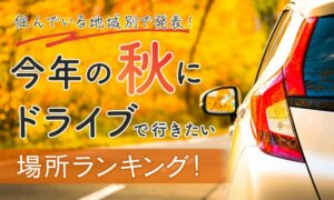 紅葉の季節に行きたい！人気のドライブスポットをご紹介