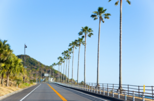 西日本で走りたい道路ランキング発表！1位は沖縄「伊良部大橋」
