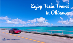 沖縄初のテスラ専門レンタカー「Testra EV Rental」誕生、環境に優しい上質な旅を提案