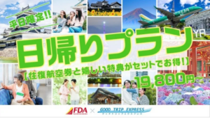 FDA日帰り旅行：航空券＋レンタカー特典で効率的な移動提案