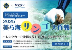 レンタカーで沖縄の海を守る！「美ら海サンゴ大作戦2025」始動
